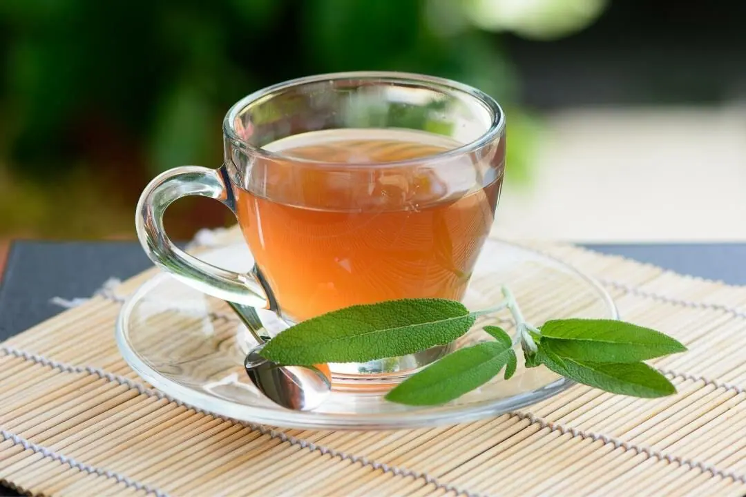 ervas medicinais - chá de sálvia