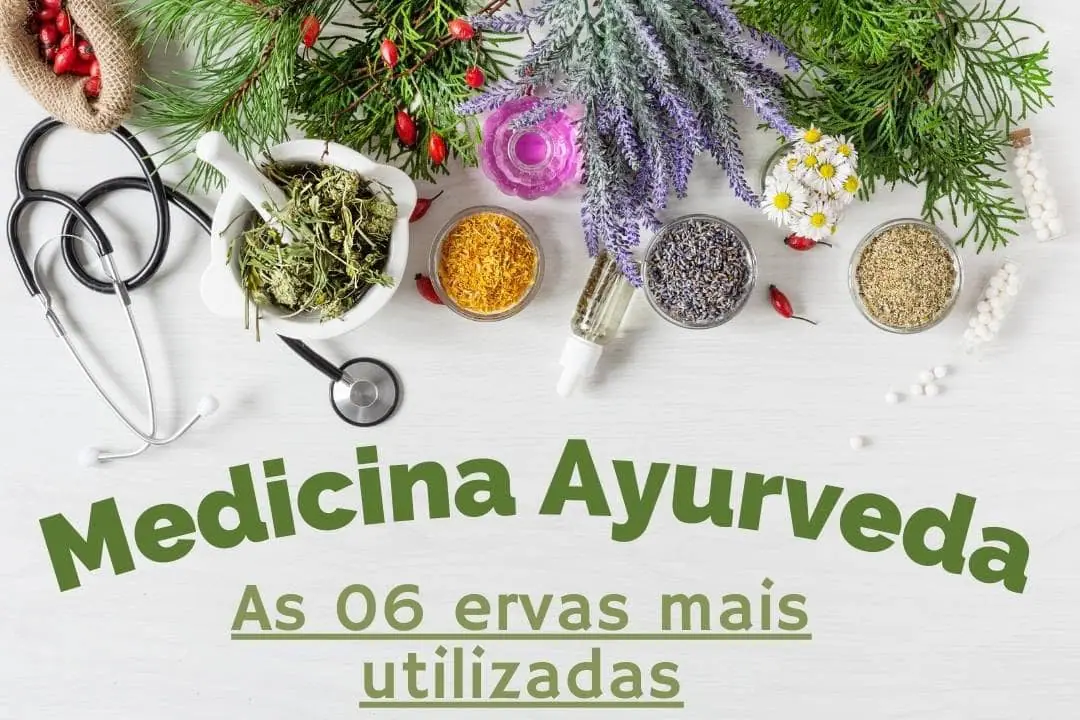 Medicina Ayurveda: conheça 06 ervas mais utilizadas nessa prática milenar 1