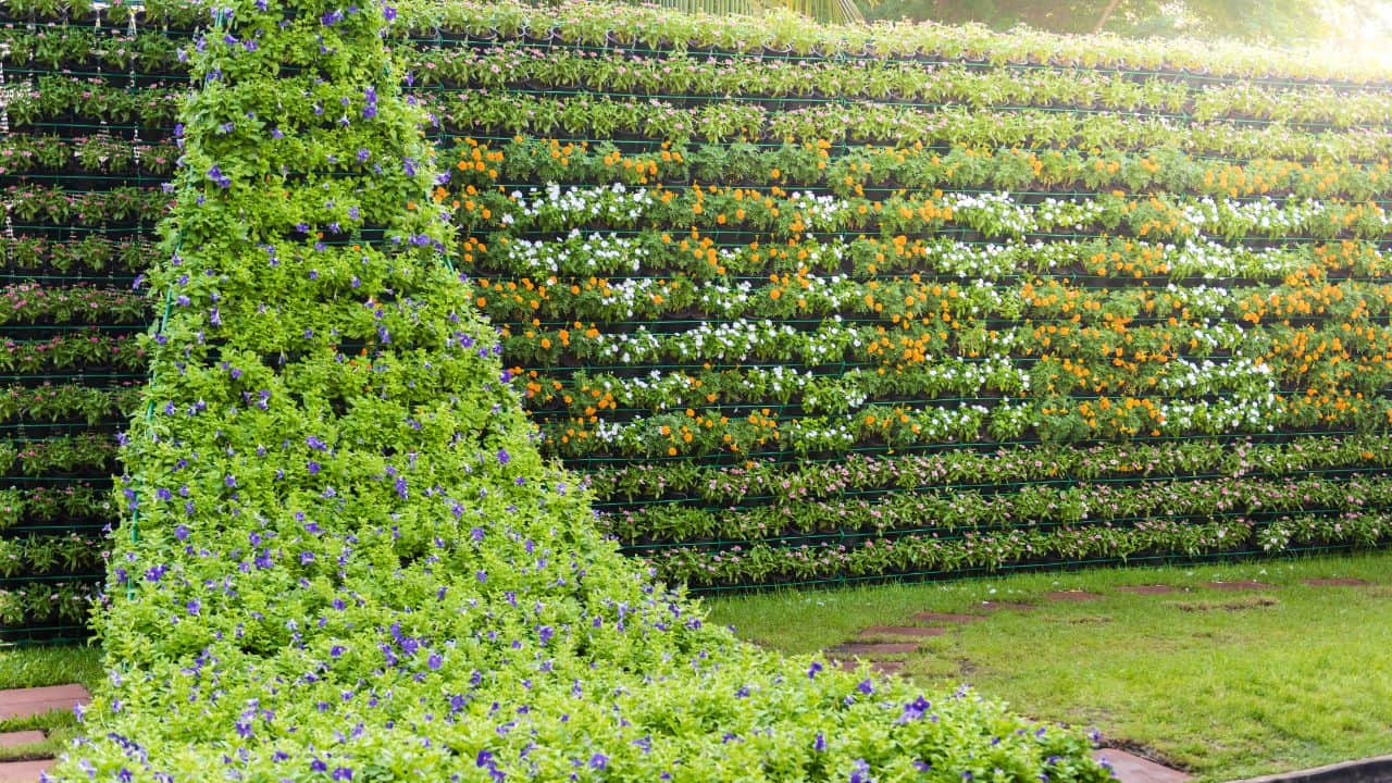 Usar a criatividade é essencial na montagem de um jardim vertical